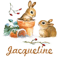 lapin21001