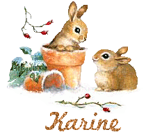 lapin21001
