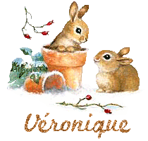lapin21001