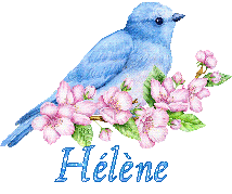 oiseauP21066
