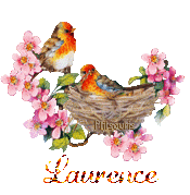 print01416