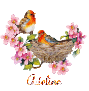 print01416