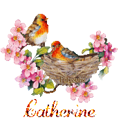 print01416