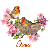 print01416