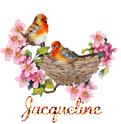 print01416