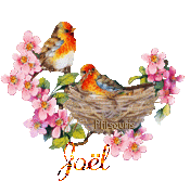 print01416