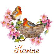 print01416