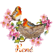 print01416