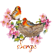 print01416