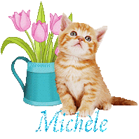 chat-arrosoir