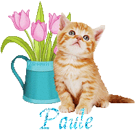 chat-arrosoir