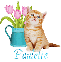 chat-arrosoir