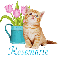 chat-arrosoir