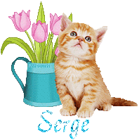 chat-arrosoir