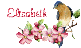 oiseauP21040