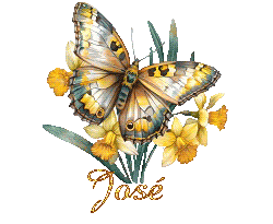 26021
