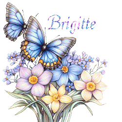 papillons-25050