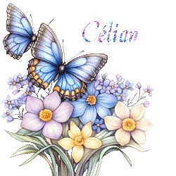 papillons-25050