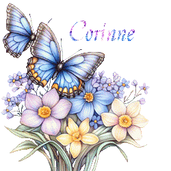 papillons-25050