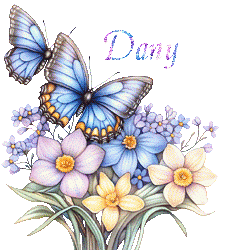 papillons-25050