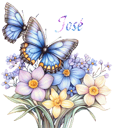 papillons-25050