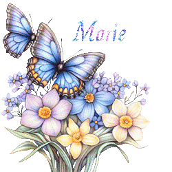 papillons-25050