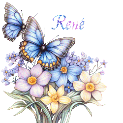 papillons-25050