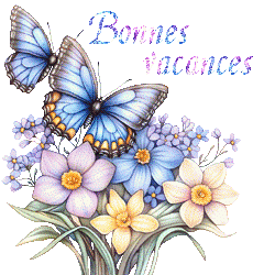 papillons-25050