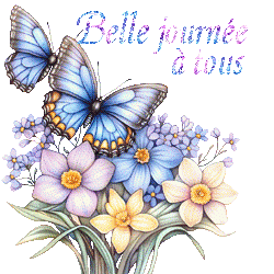 papillons-25050