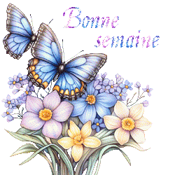 papillons-25050