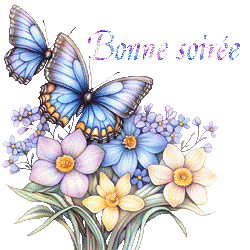 papillons-25050