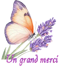 papillons-25050