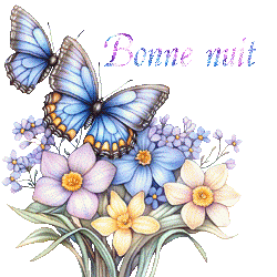papillons-25050