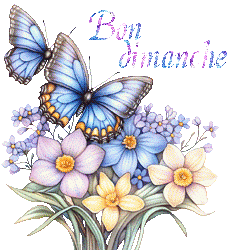 papillons-25050