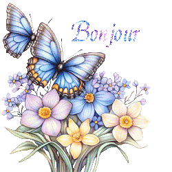 papillons-25050
