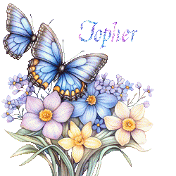 papillons-25050