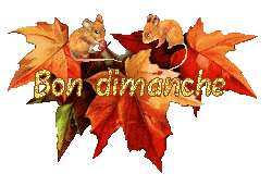 automne21094