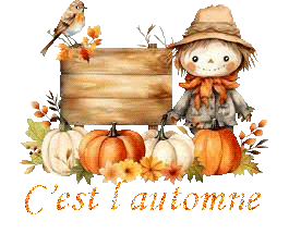 automne23109