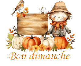 automne23109