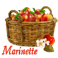 automne21109