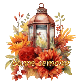 automne24097