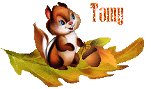 automne20102