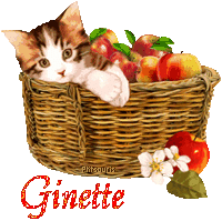 automne21109