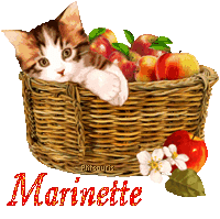 automne21109