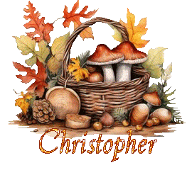 automne-25109