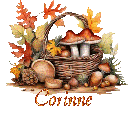 automne-25109