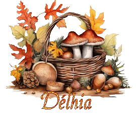 automne-25109