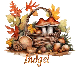 automne-25109