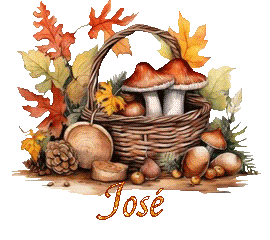 automne-25109