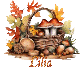 automne-25109
